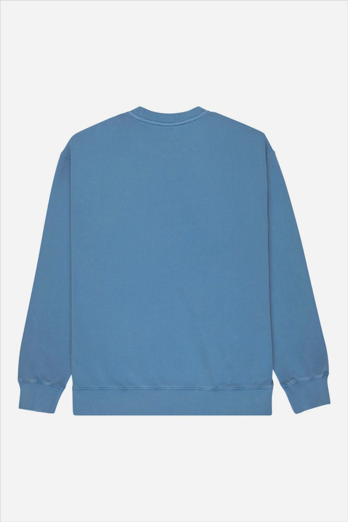 Element - Lichtblauwe Lowcase Pigment sweater