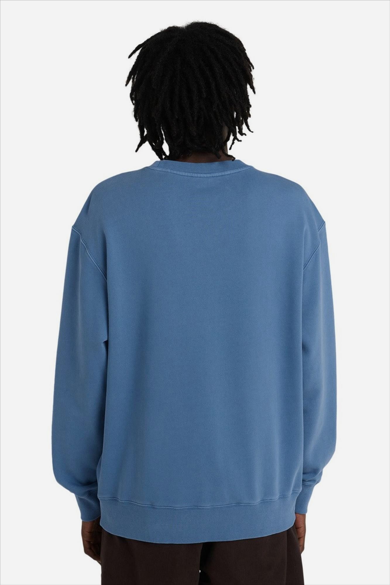 Element - Lichtblauwe Lowcase Pigment sweater
