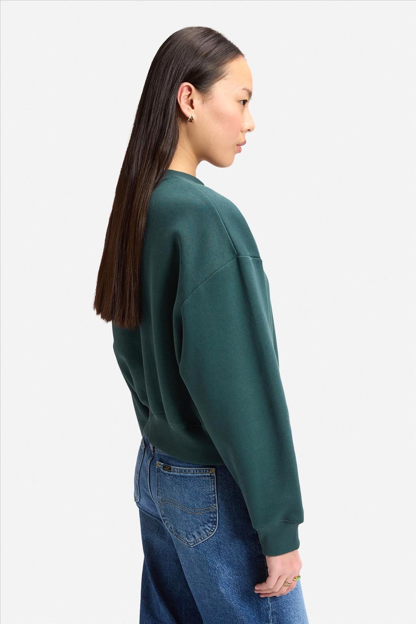Lee - Donkergroene Ponderosa sweater