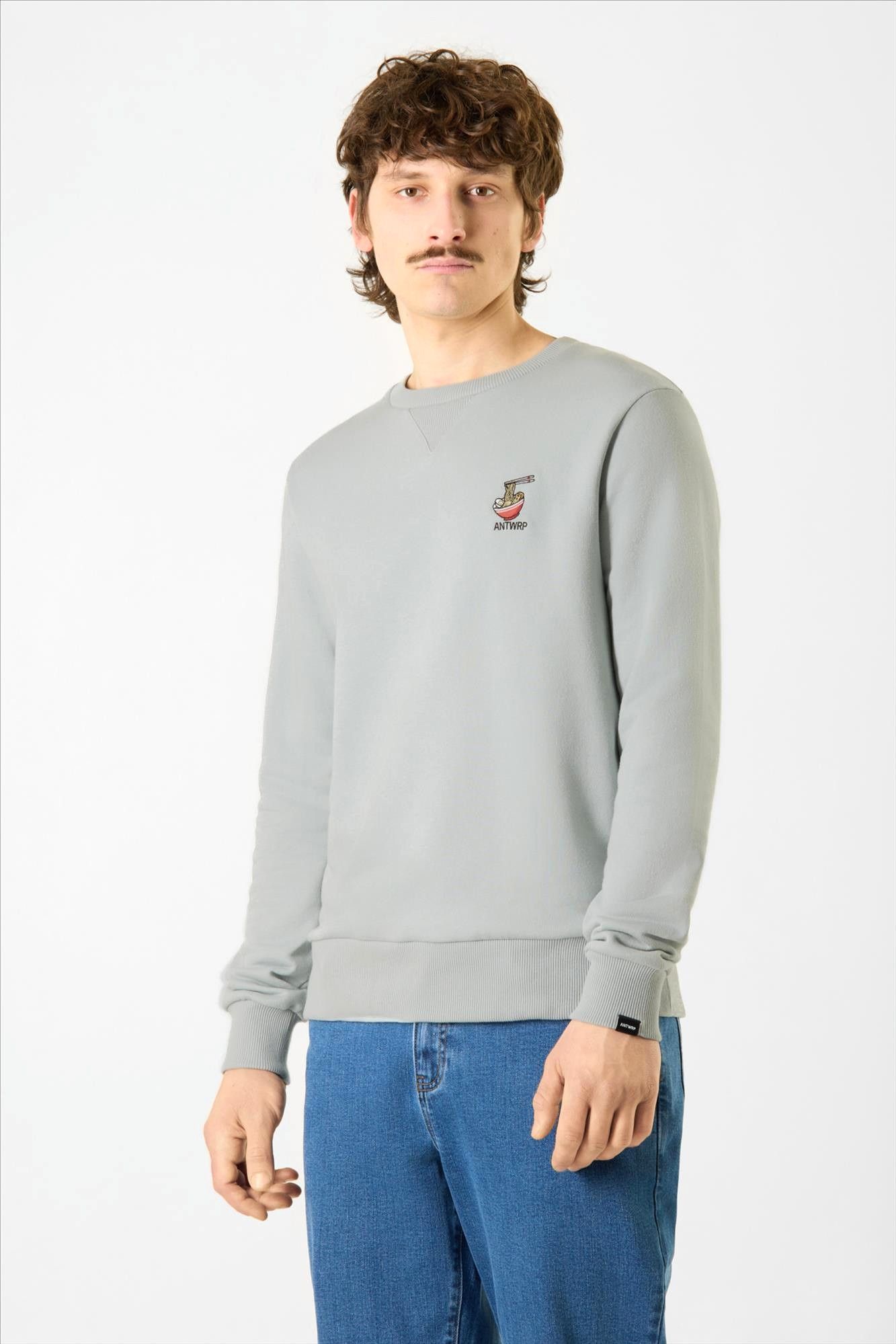 Antwrp - Blauwgrijze Noodle sweater