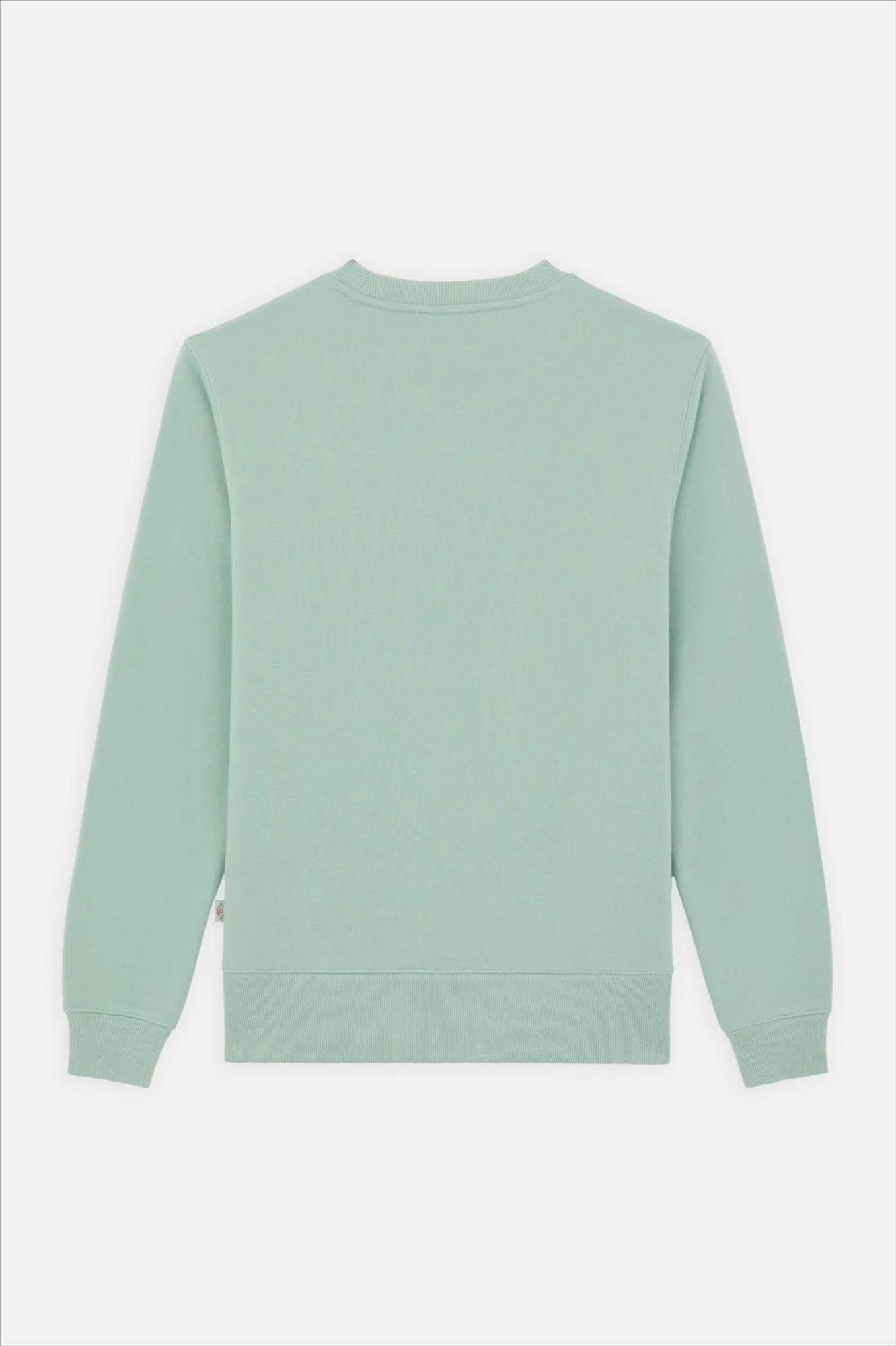 Dickies - Mintgroene Oakport sweater