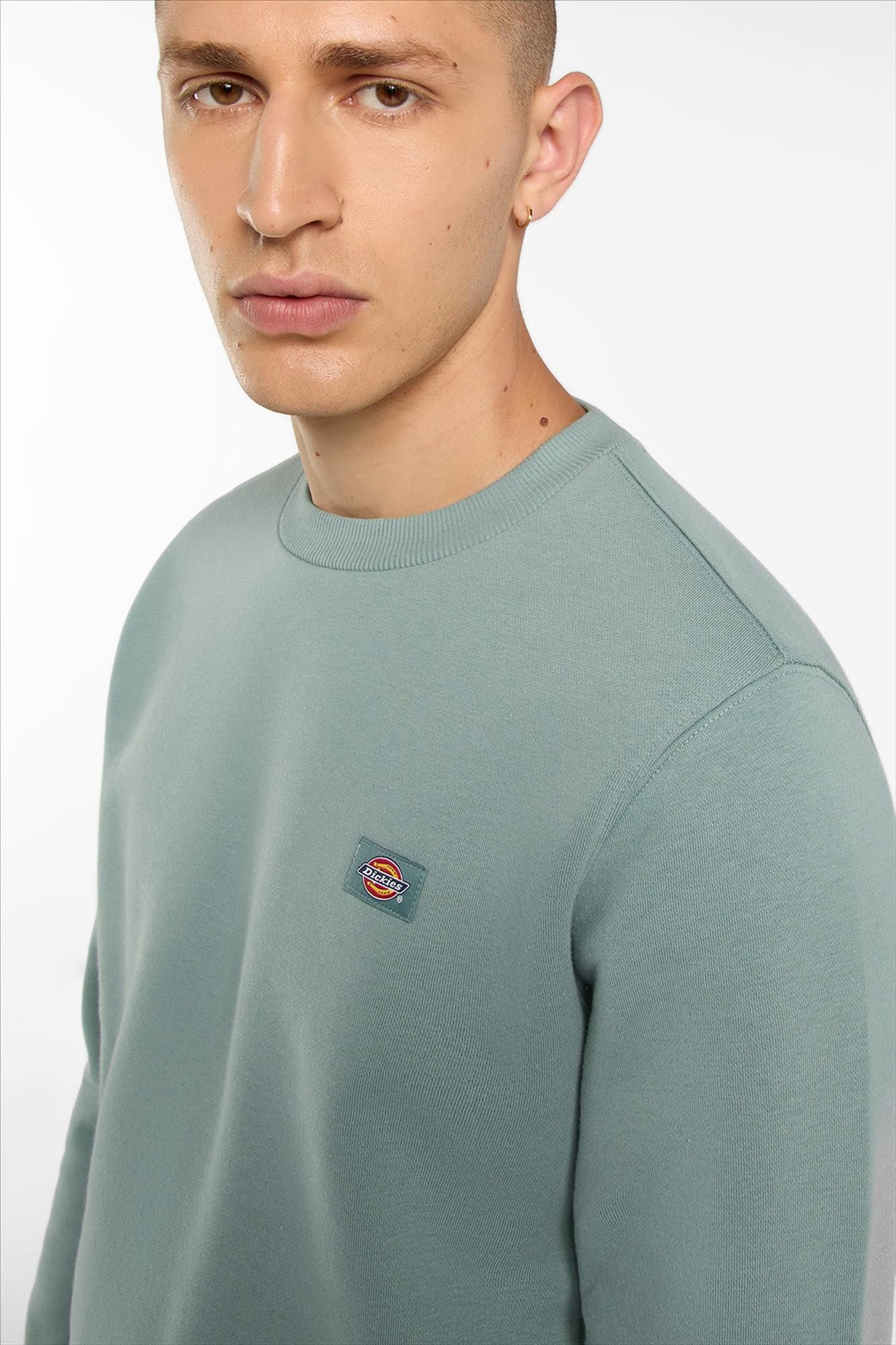 Dickies - Mintgroene Oakport sweater