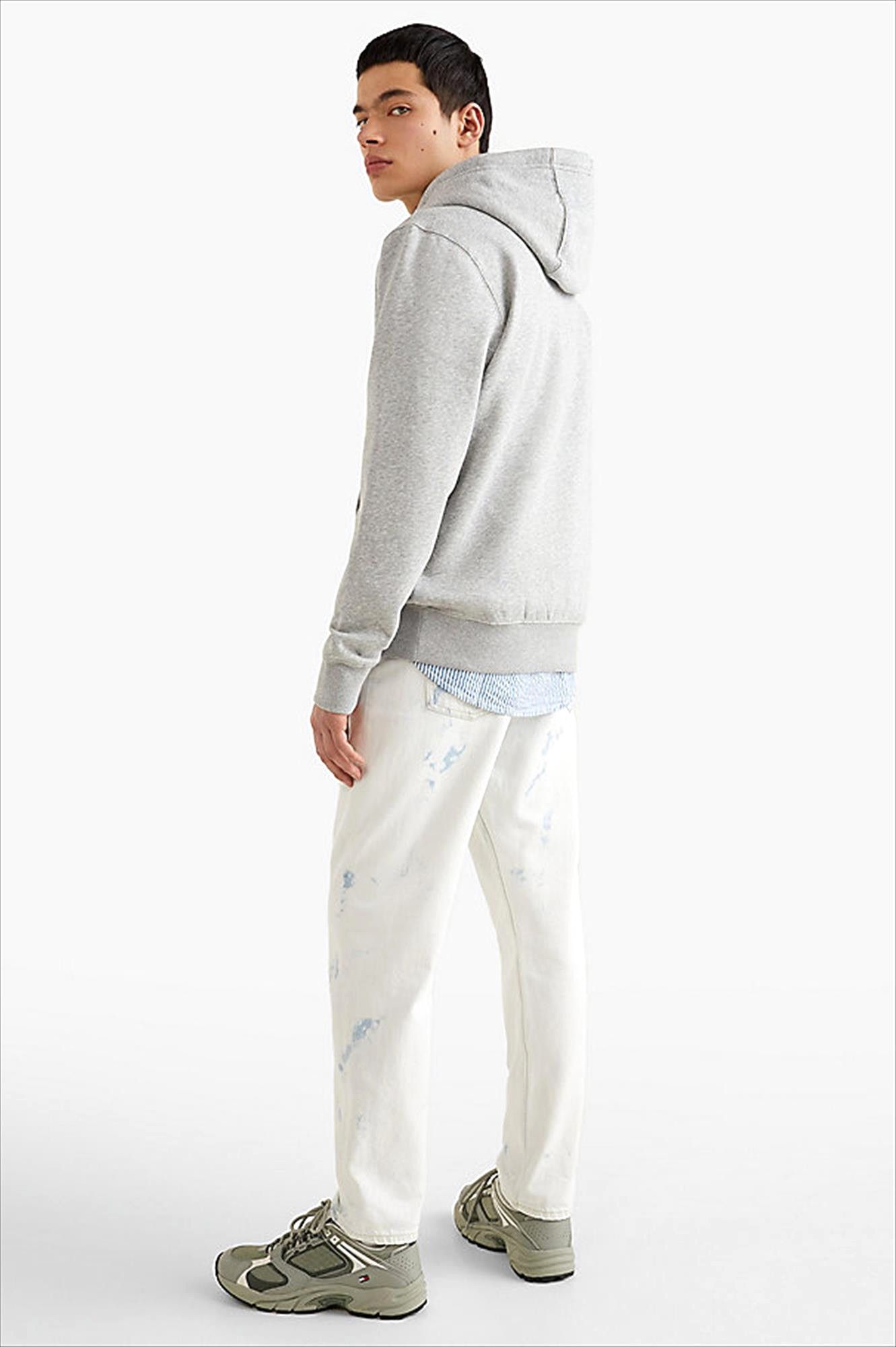 Tommy Jeans - Lichtgrijze Vaco hoodie