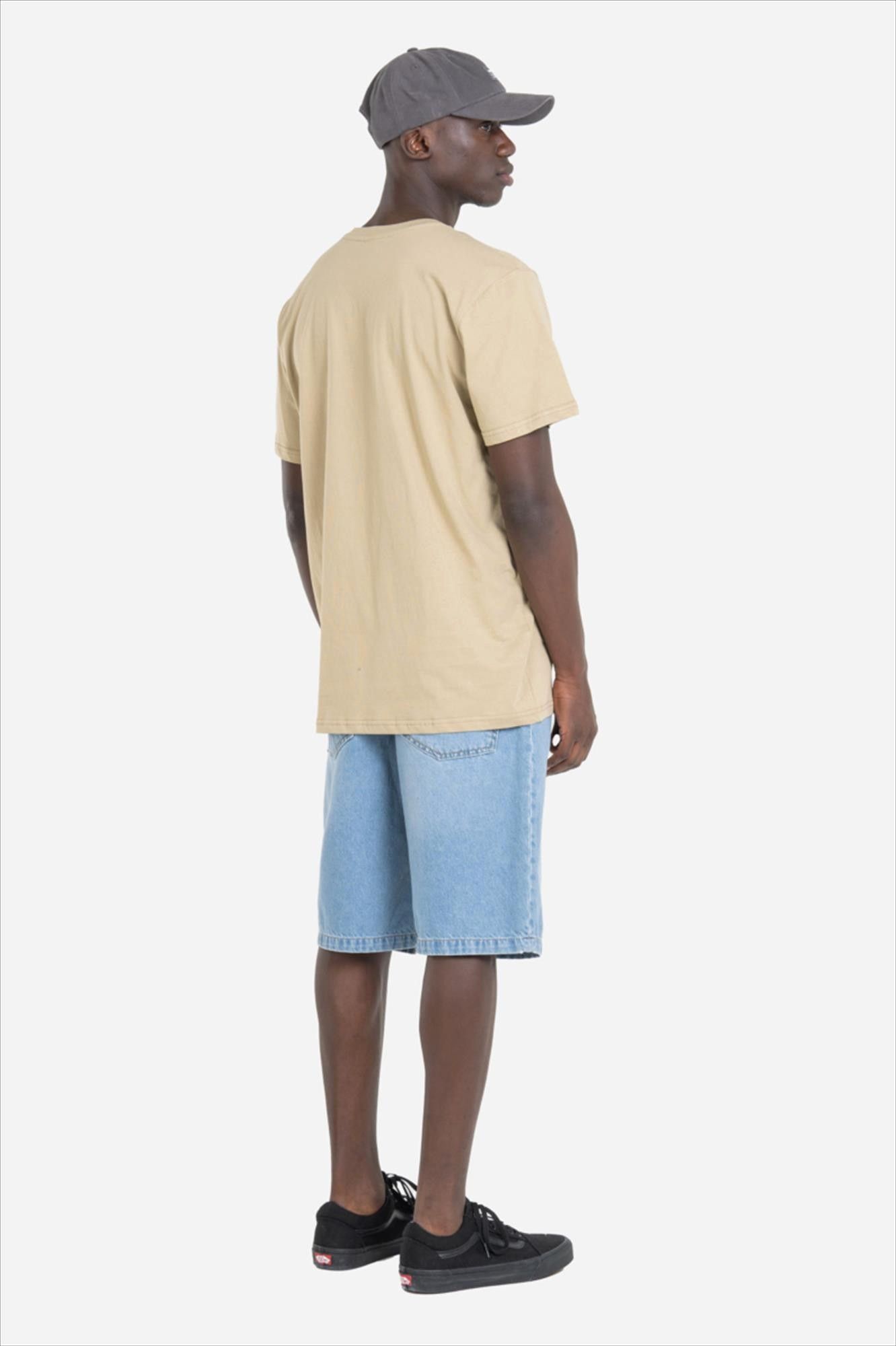 Reell - Blauwe Solid short