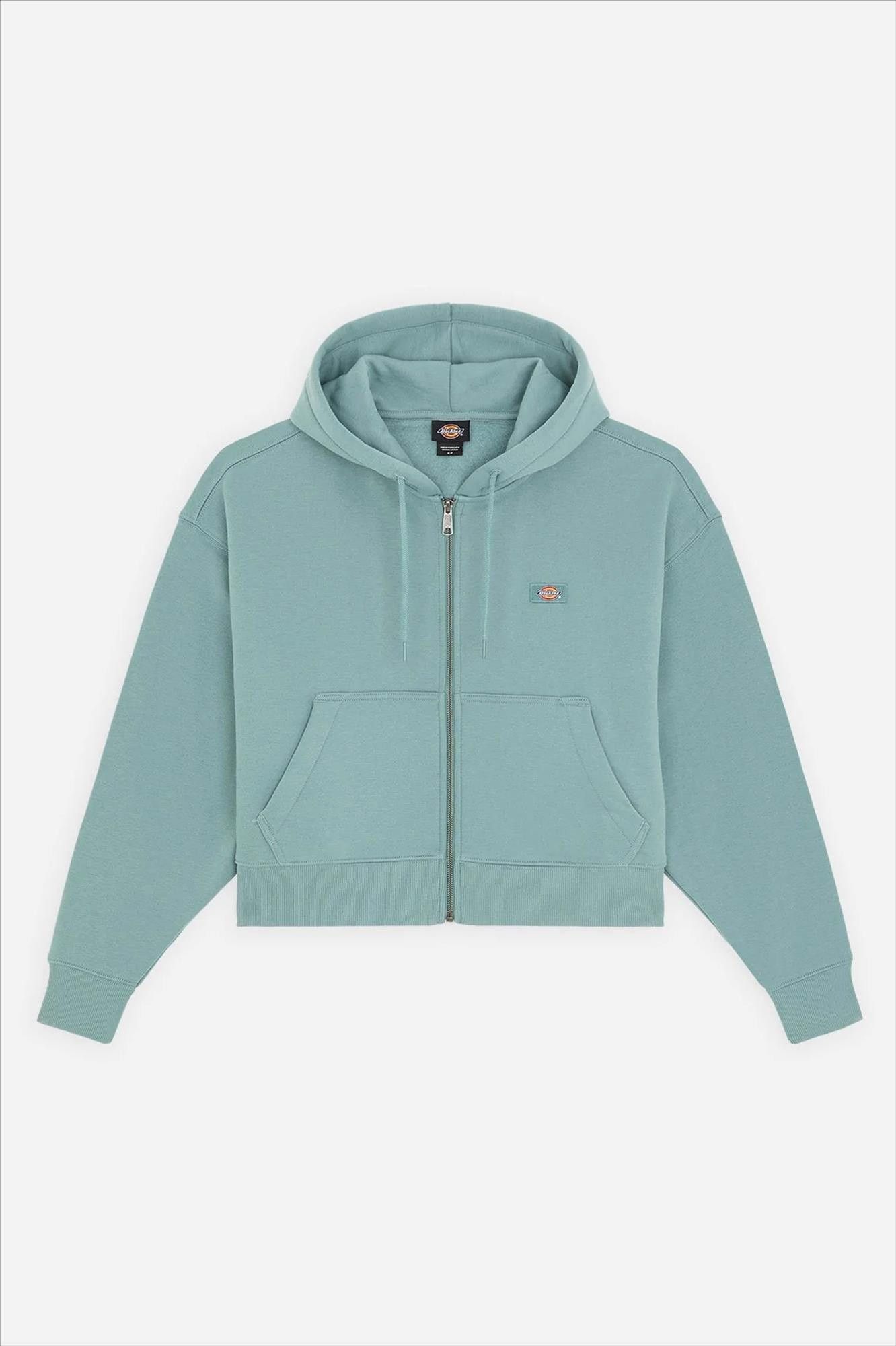 Dickies - Mintgroene Oakport Zip hoodie