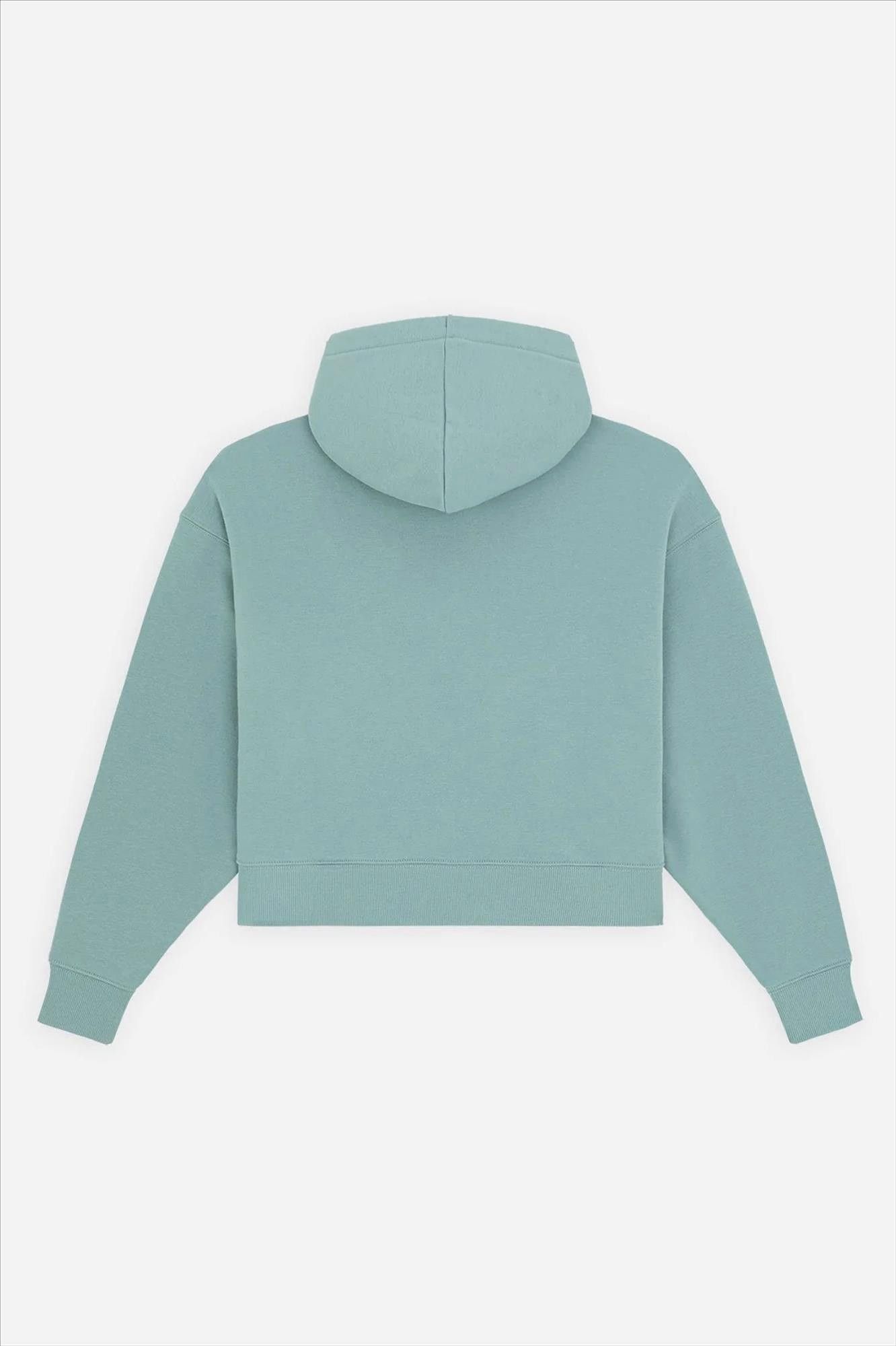 Dickies - Mintgroene Oakport Zip hoodie