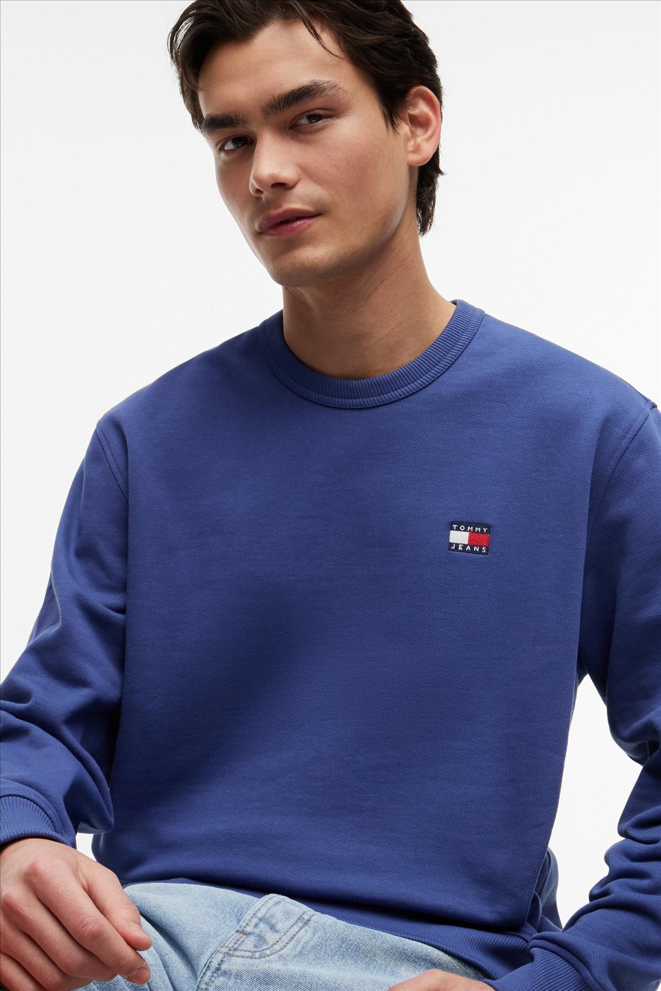 Tommy Jeans - Blauwe Regular Badge sweater