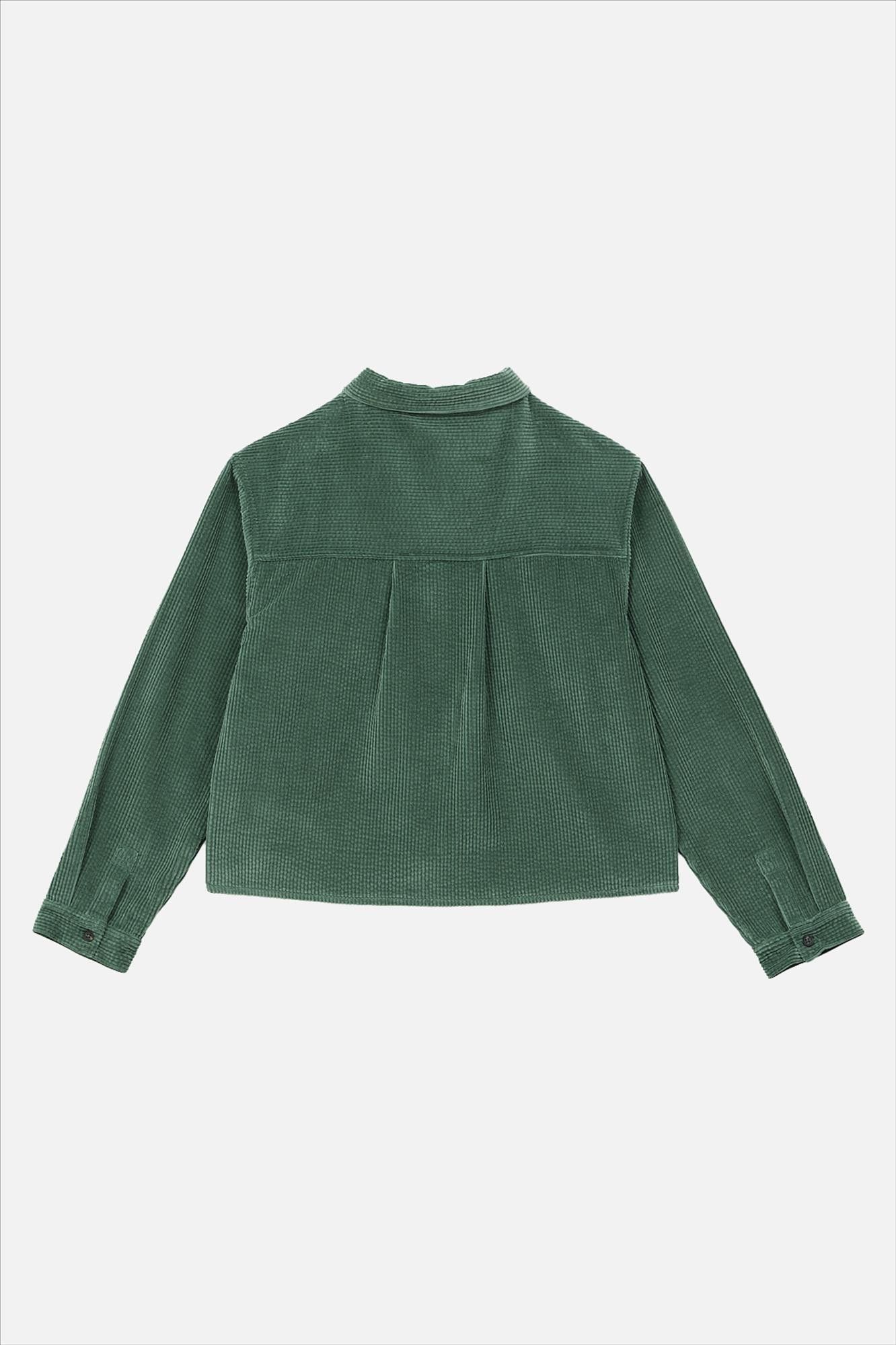 arsene & les pipelettes - Groen Corduroy overhemd