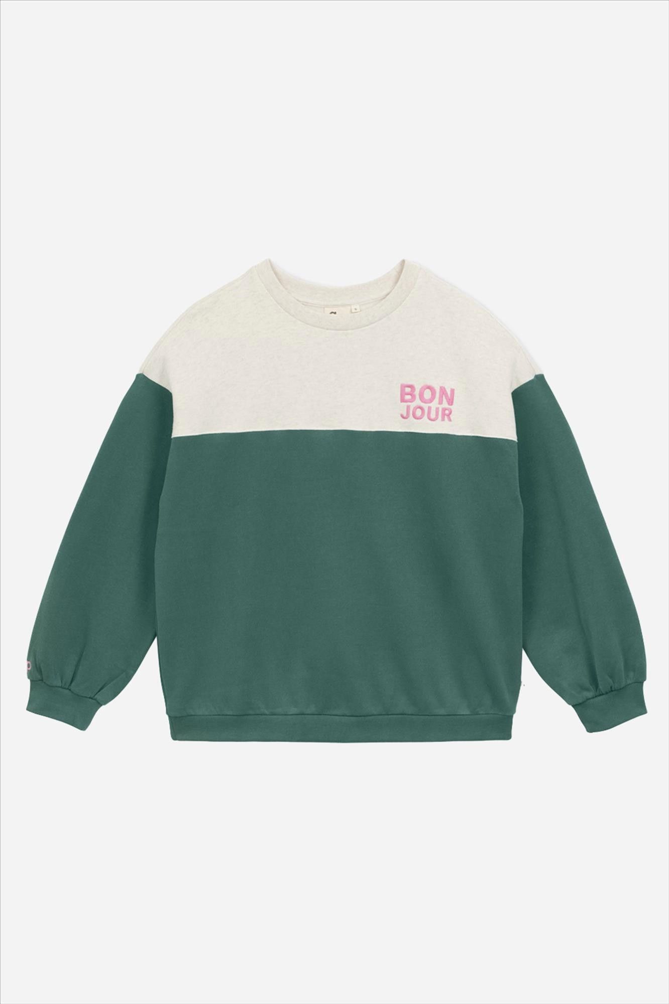 arsene & les pipelettes - Ecru-Groene Bicolore sweater
