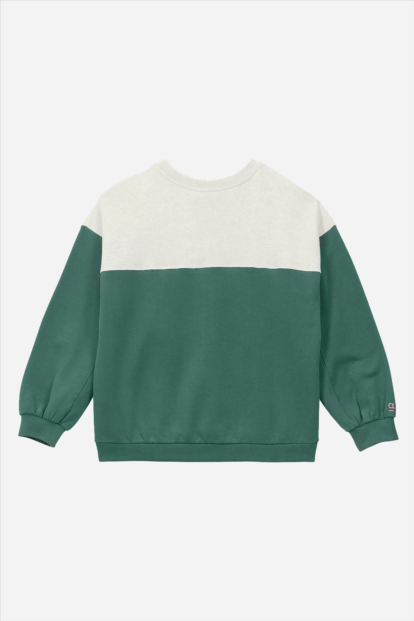 arsene & les pipelettes - Ecru-Groene Bicolore sweater